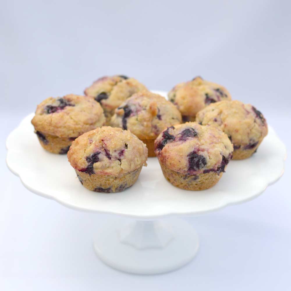 Blueberry Lemon Oat Muffins